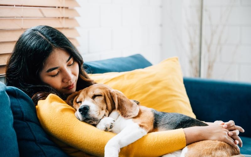 a person lying on a couch with a dog