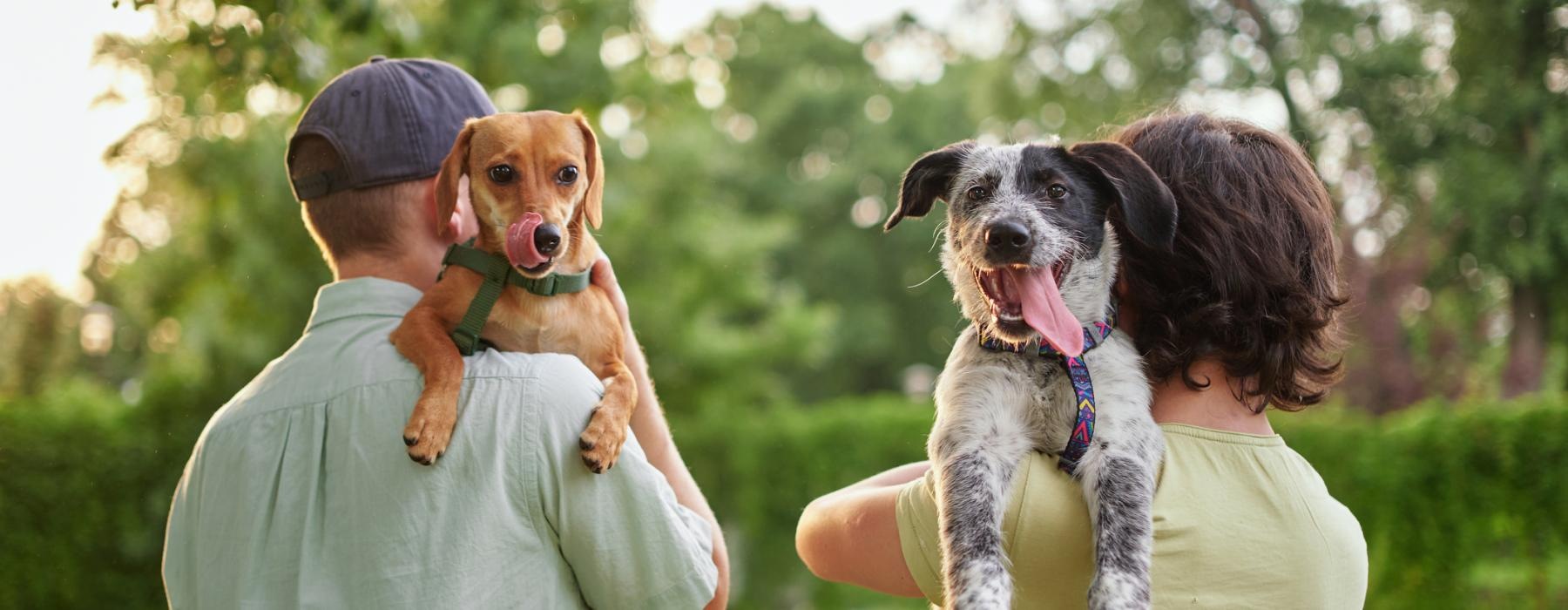 a man and woman holding a dog