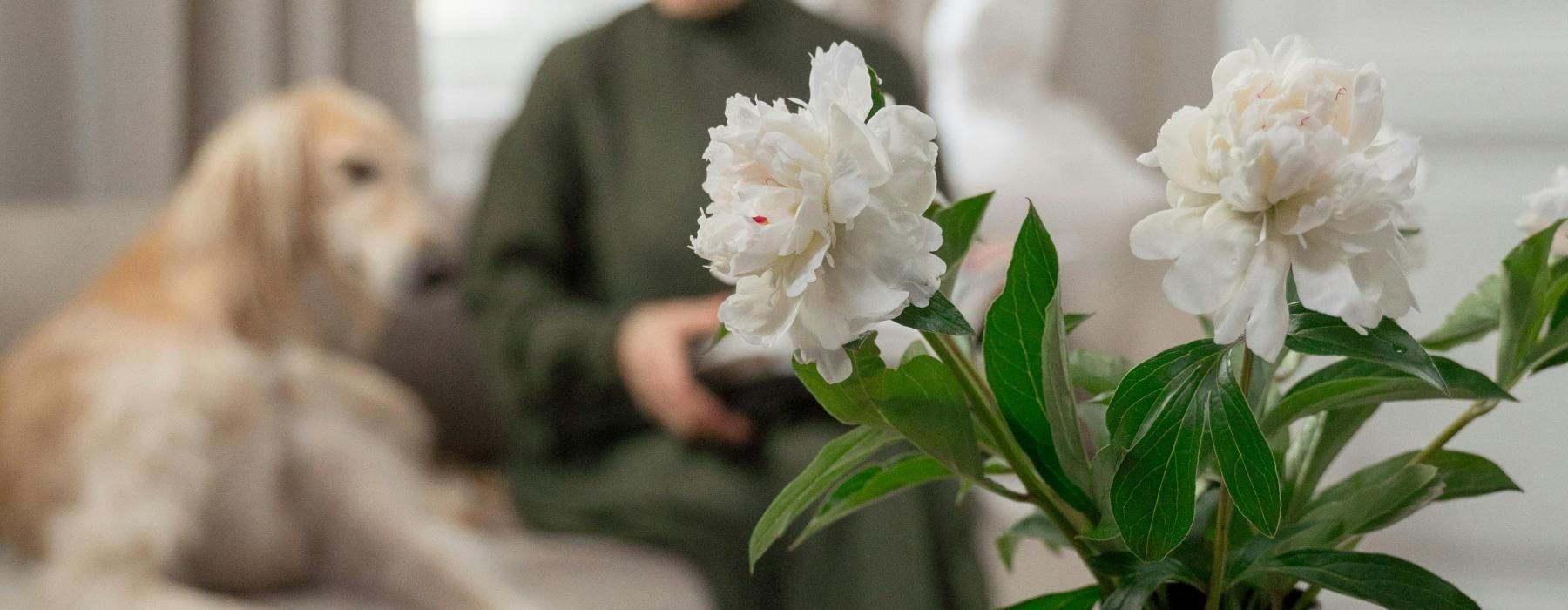a dog sitting next to a vase of flowers